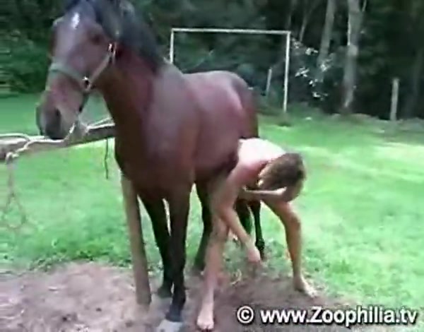 Smacking a stallion dick